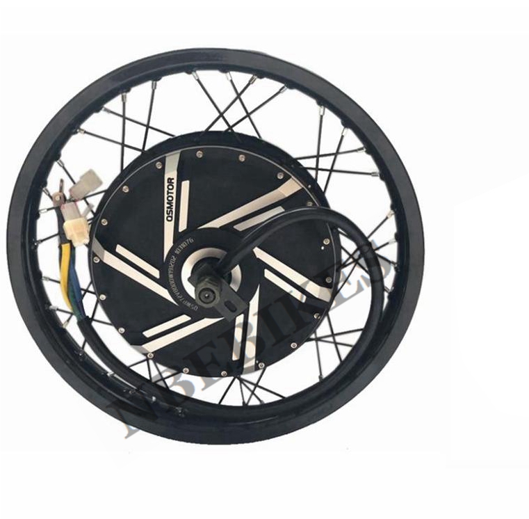 QS 273 Speichennabenmotor (50H – 12000W Electric Motorcycle Hub Motor Bewertung und Preis