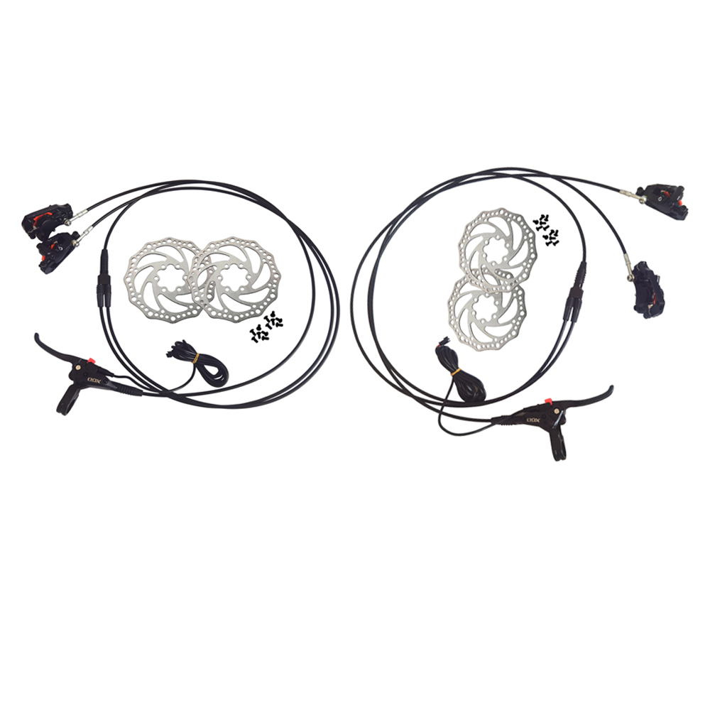 48 V 2000 W E-Bike-Umrüstsatz  – Dual Motor Ebike Kit 2000W Bewertung und Preis
