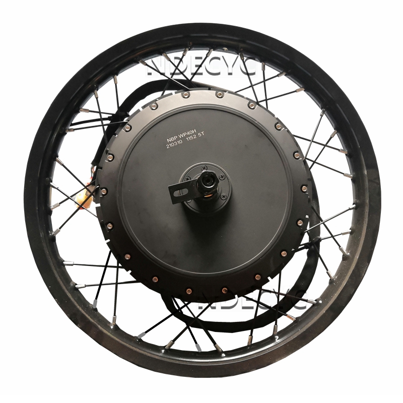 NBpower/QS V3 273 40H Motorrad – 72V 8000W Brushless Hub Motor Bewertung und Preis